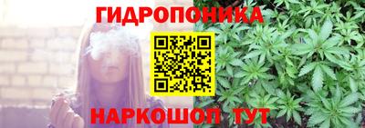 гидропоника Кунгур