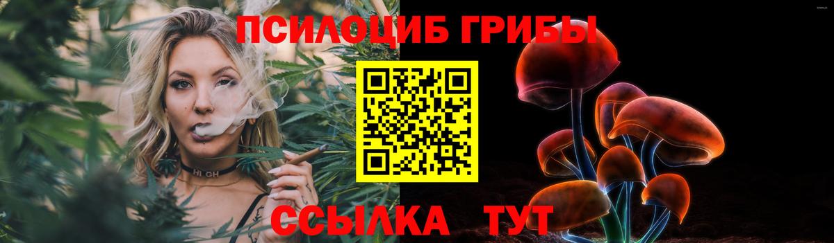 где продают   Вход с VPN  Галлюциногенные грибы Psilocybine cubensis  Знаменск  Галлюциногенные грибы мухоморы 